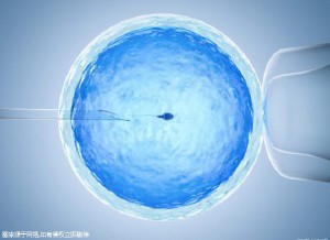 关于借精试管助孕